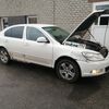 Skoda проходит водородную очистку двигателя